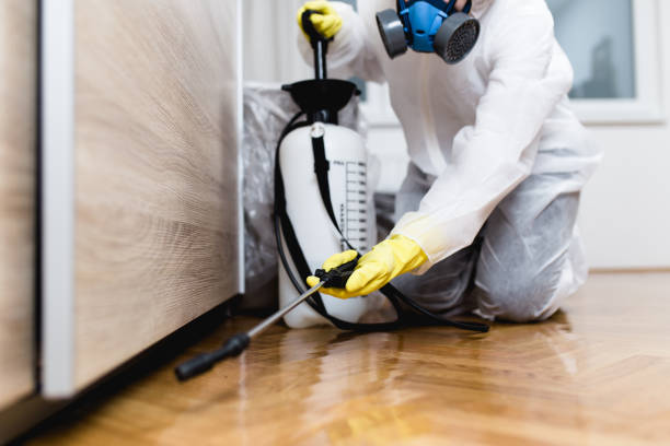 Best Exterminator Services  in Twisp, WA