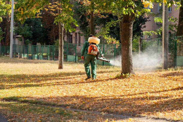 Best Termite Control Services  in Twisp, WA