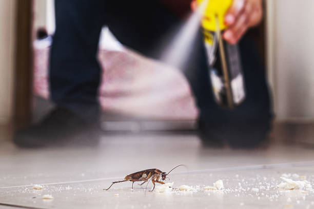 Best Pest Control for Homes  in Twisp, WA
