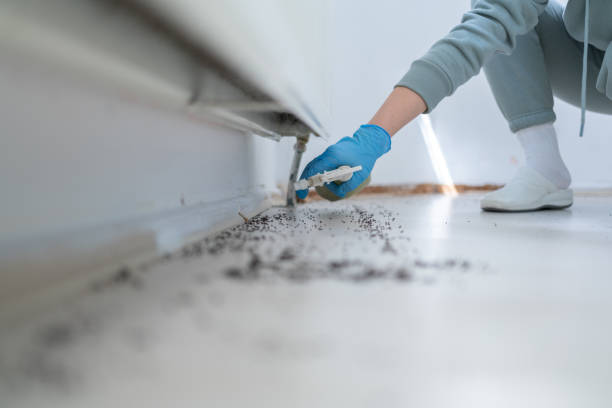 Best Insect Control  in Twisp, WA